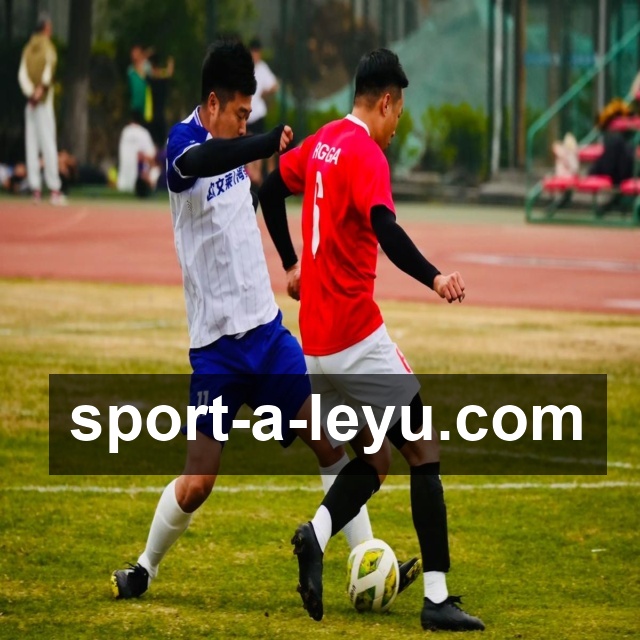 解读乐鱼体育体育